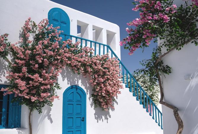 7975249 - الصورة الرئيسية للعقار