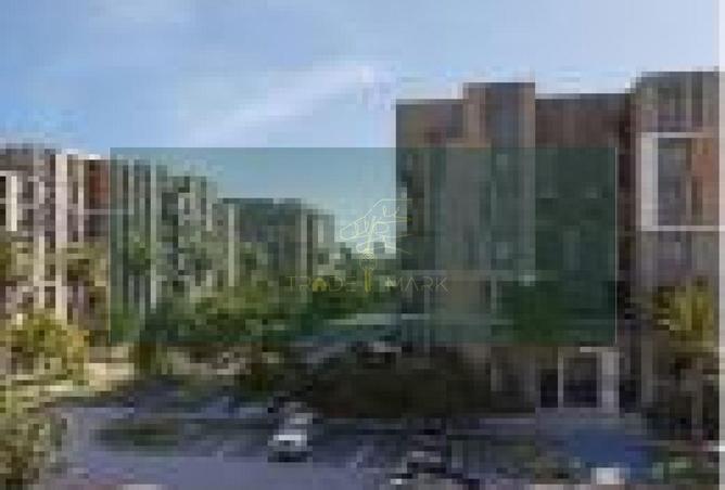 8492681 - Property Image 3