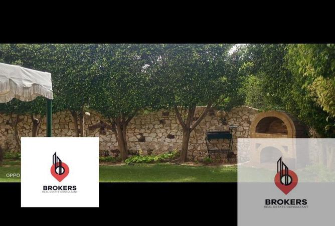 8312791 - صورة العقار 2