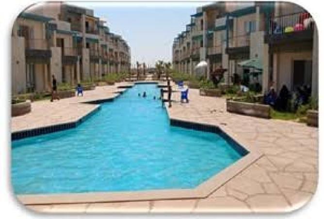7979759 - Property Image 3