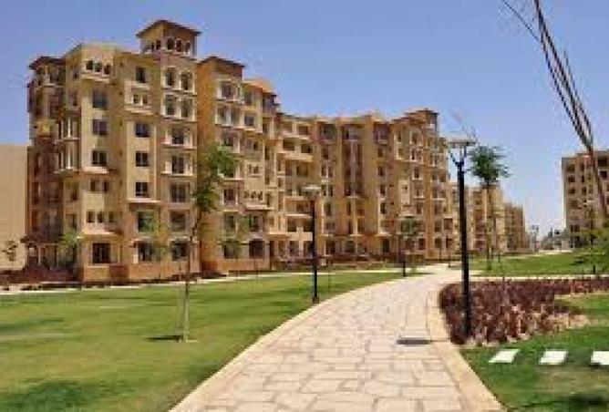 8427118 - Property Image 3