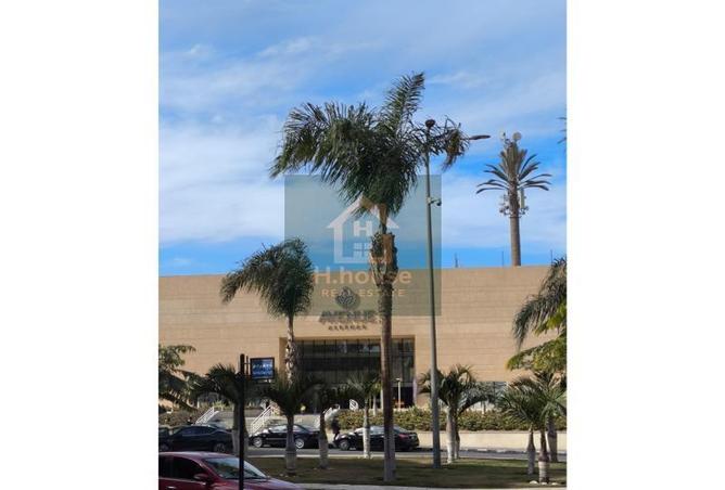 8255546 - Property Image 3