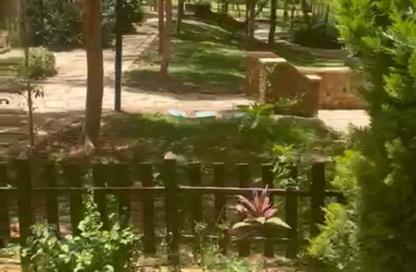 Apartment - 2 Bedrooms - 1 Bathroom for rent in El Rehab Extension - Al Rehab - New Cairo City - Cairo
