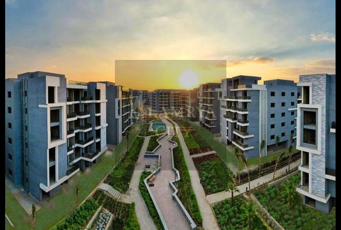 8193478 - Property Image 2