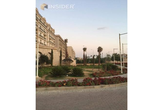 7983084 - صورة العقار 2