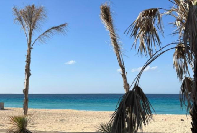 8565212 - Property Image 3