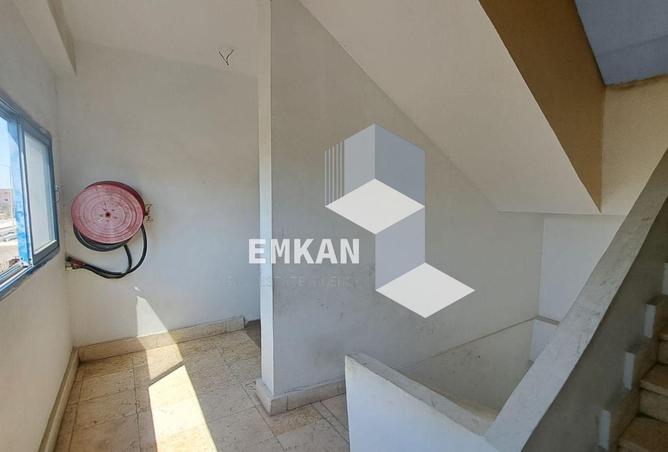 8037308 - صورة العقار 3