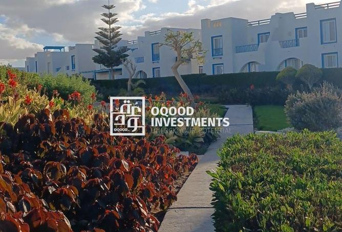 8387086 - Property Image 3