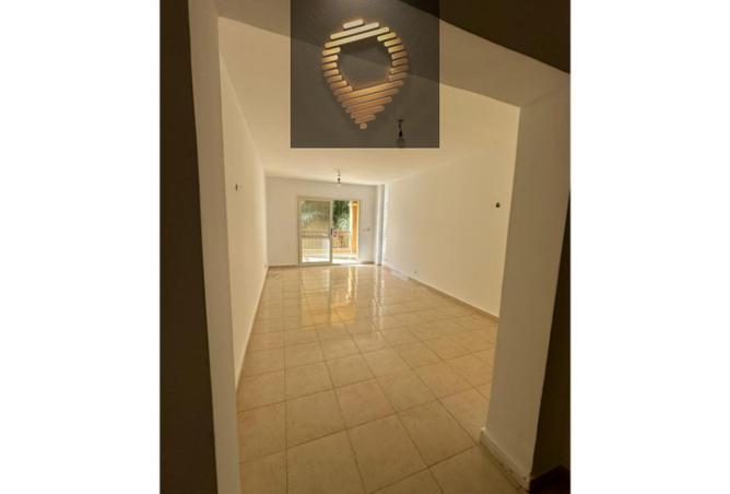 8426611 - Property Image 2