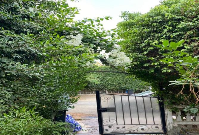 8036342 - الصورة الرئيسية للعقار