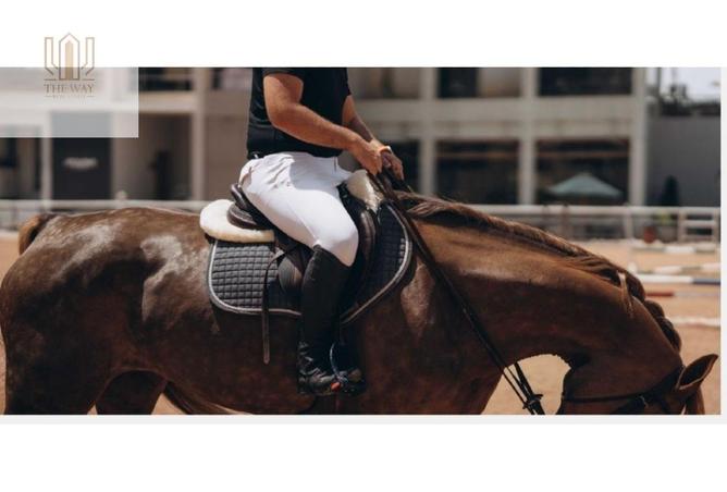 7945129 - Property Image 3