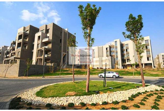 8529189 - Property Image 3