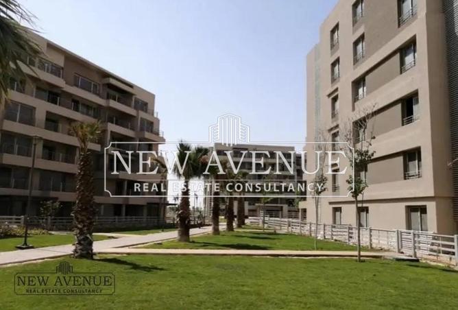 8244584 - Property Image 3