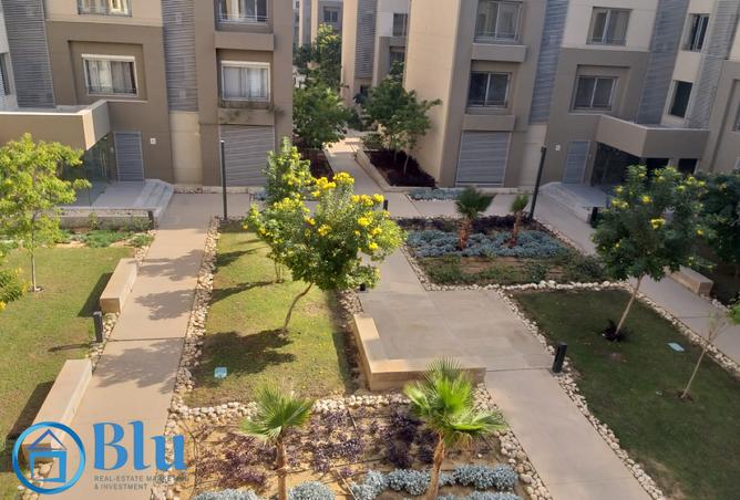 8005059 - Property Image 3