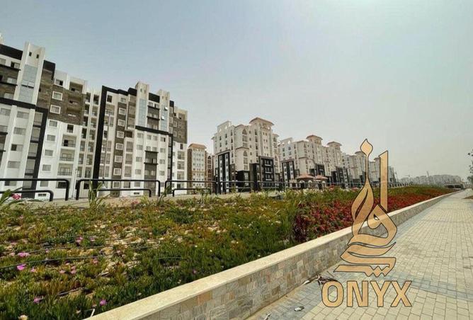 8169606 - صورة العقار 3