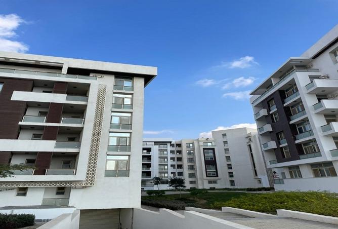 7910707 - Property Image 3