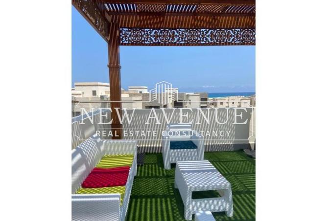 8363837 - Property Image 3