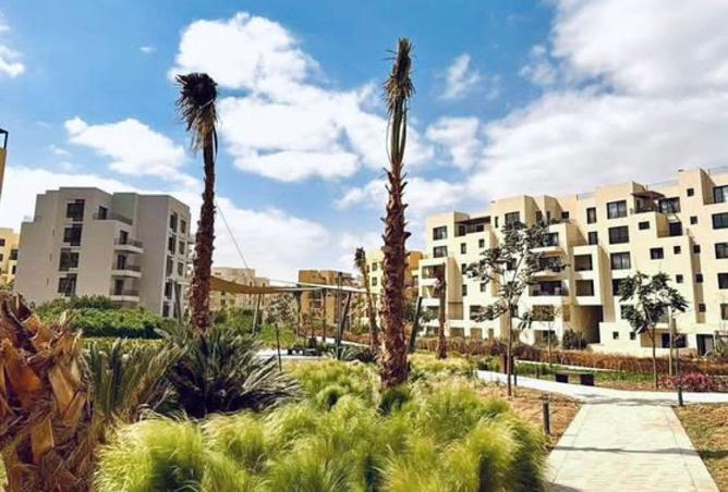 8167224 - Property Image 3