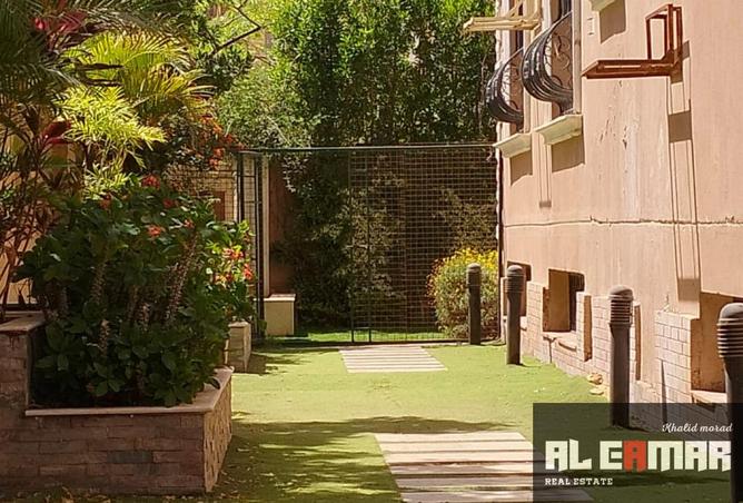 8239829 - صورة العقار 3