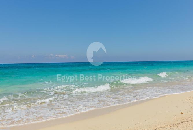 7982333 - Property Image 3