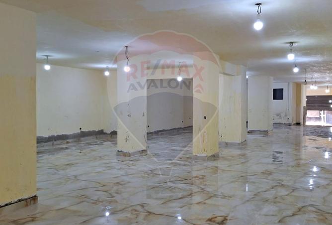8049061 - صورة العقار 3