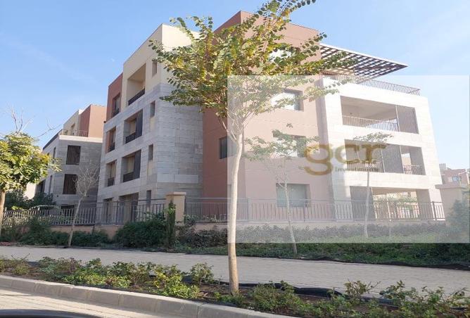 8182453 - Property Image 2