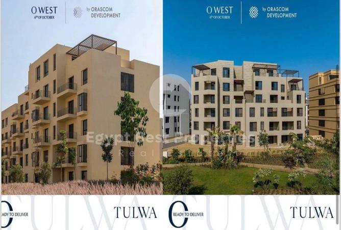 8561575 - صورة العقار 2