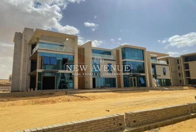 8224157 - Property Image 2