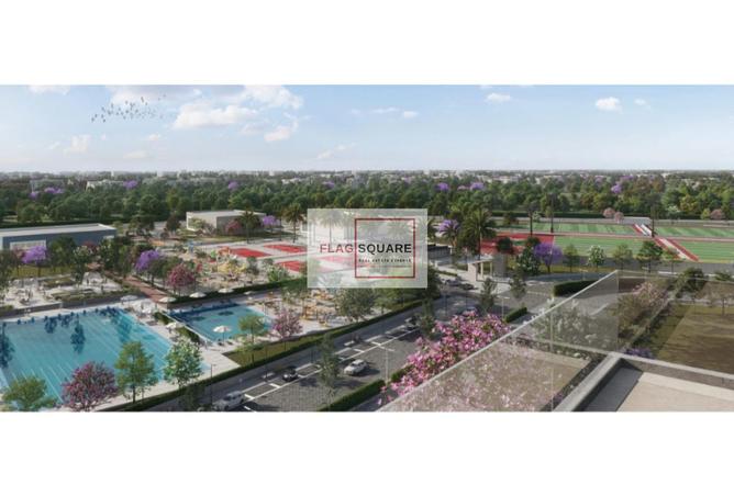 8018371 - Property Image 3
