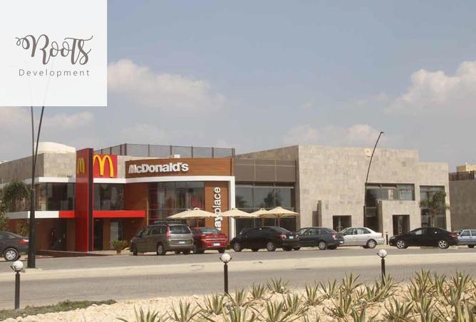 8215926 - Property Image 3