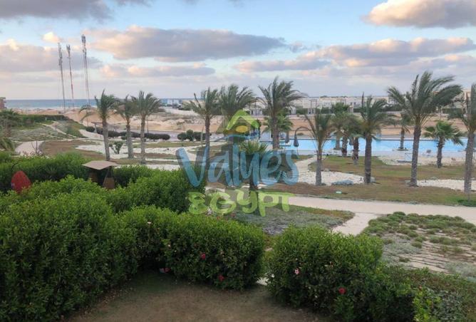 7847590 - Property Image 2