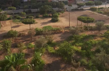 Apartment - 3 Bedrooms - 2 Bathrooms for sale in Africa   Emtedad Moustafa Al Nahas - 9th Zone - Nasr City - Cairo