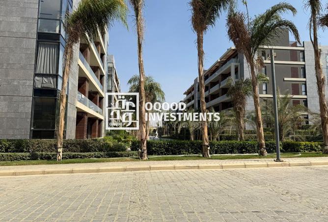 8156531 - Property Image 2