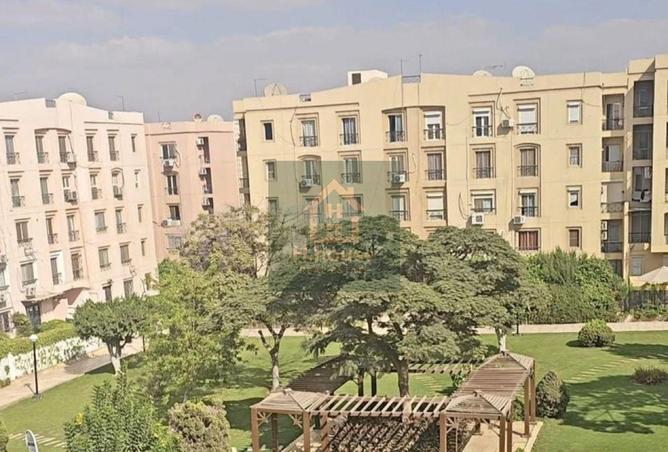 8232867 - Property Image 2