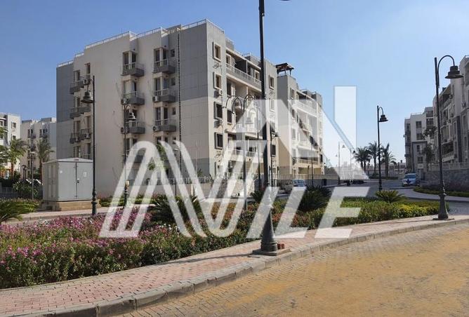 7977334 - صورة العقار 2
