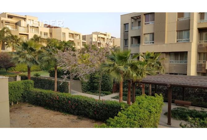 8213765 - Property Image 3