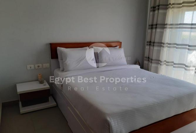 8146528 - Property Image 3