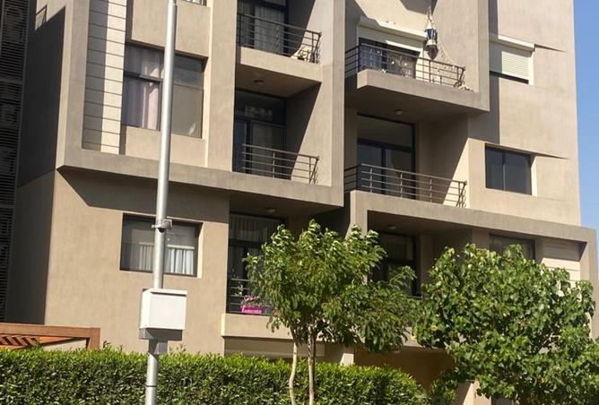 8135074 - Property Image 3