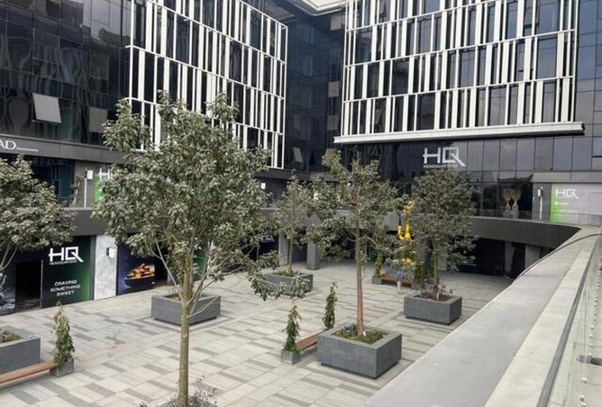 8254705 - Property Image 3