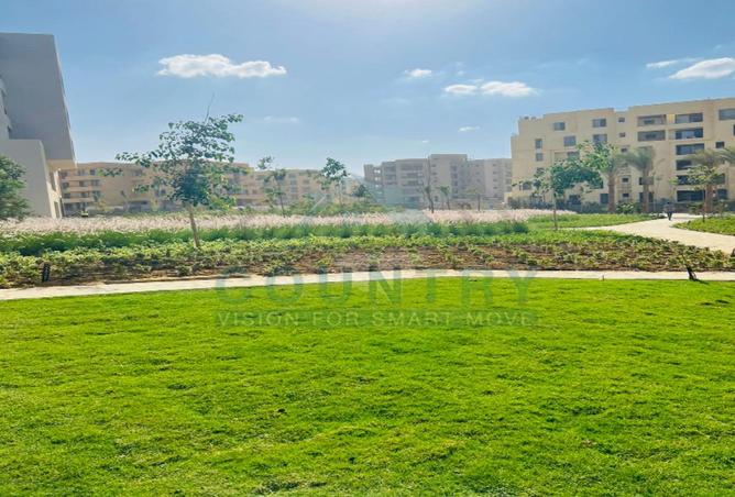 8441236 - Property Image 3