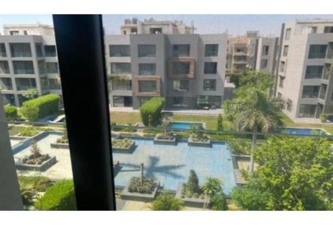 8301223 - Property Image 3