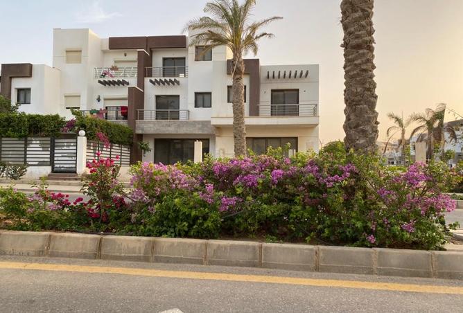 8437138 - Property Image 3