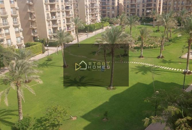 8091243 - الصورة الرئيسية للعقار