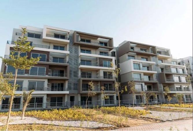 7991297 - Property Image 3