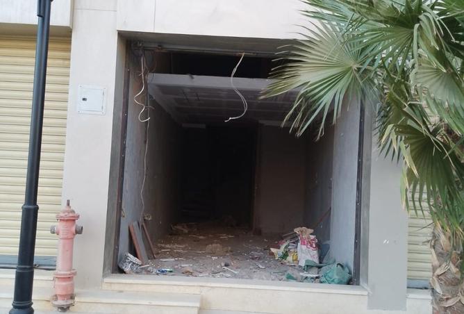 8492233 - Property Image 2