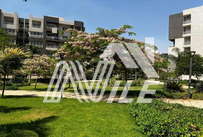 7984520 - Property Image 2