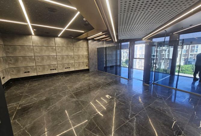 8281955 - Property Image 2