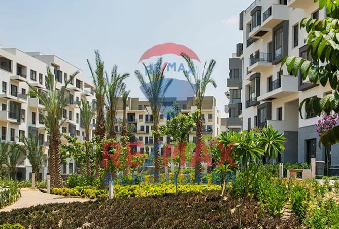 8043115 - صورة العقار 3