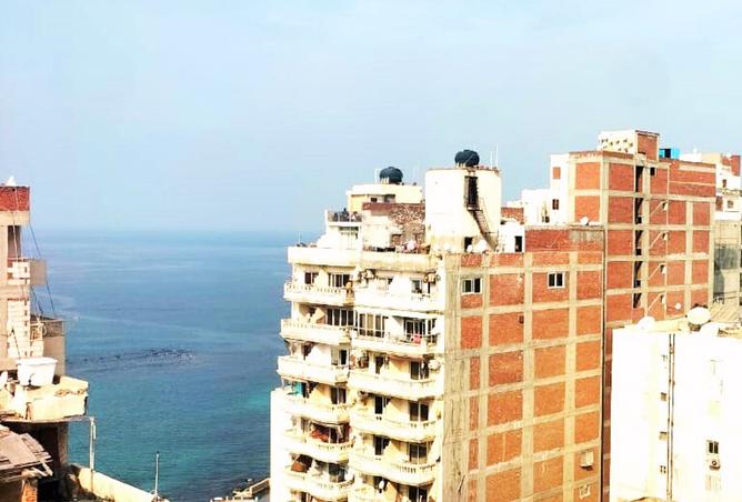 8068293 - صورة العقار 2