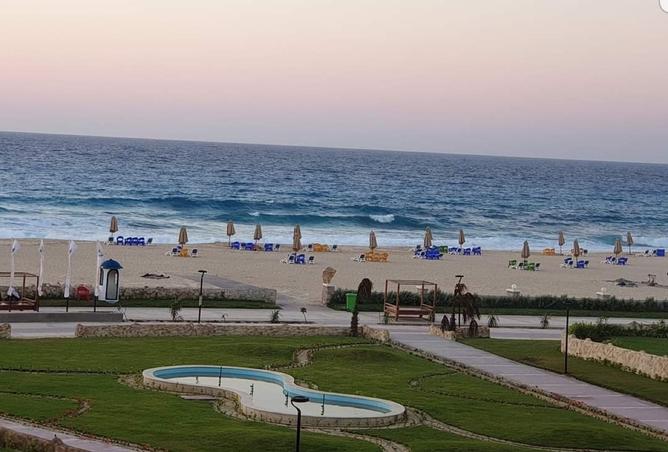 7933944 - صورة العقار 3